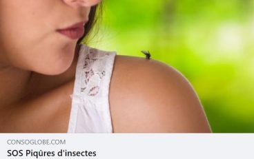Piqûres d'insectes_Mylène GUILLOT Magnétiseuse Rebouteuse Relaxologue