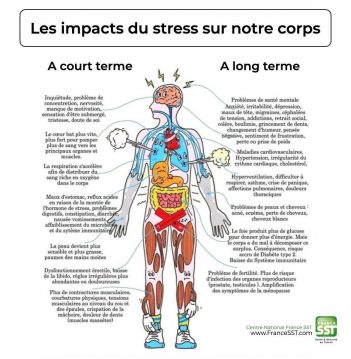 Impacts du stress sur le corps_Mylène GUILLOT Magnétiseuse Rebouteuse Relaxologue