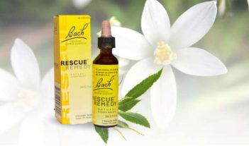 Remède d'urgence Fleurs de Bach_Mylène GUILLOT Magnétiseuse Rebouteuse Relaxologue