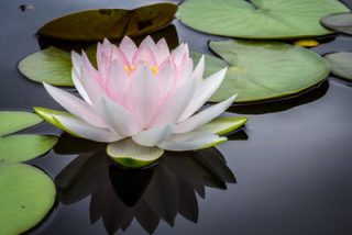 Relaxologie de pleine conscience et Magnétisme EBEME : séance bien-être