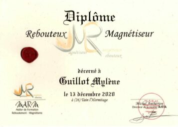 Formation Magnétiseuse_Rebouteuse Mylène GUILLOT