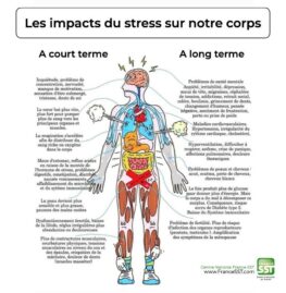 Impacts du stress sur le corps_Mylène GUILLOT Magnétiseuse Rebouteuse Relaxologue