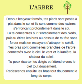 Méditation de l'Arbre_Mylène GUILLOT Magnétiseuse Rebouteuse Relaxologue Energéticienne spirituelle
