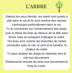 Méditation de l'Arbre_Mylène GUILLOT Magnétiseuse Rebouteuse Relaxologue Energéticienne spirituelle