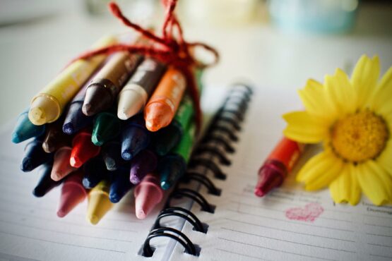 Rentrée scolaire et fleurs de Bach_Mylène GUILLOT_Magnétiseuse Rebouteuse Relaxologue Energéticienne spirituelle